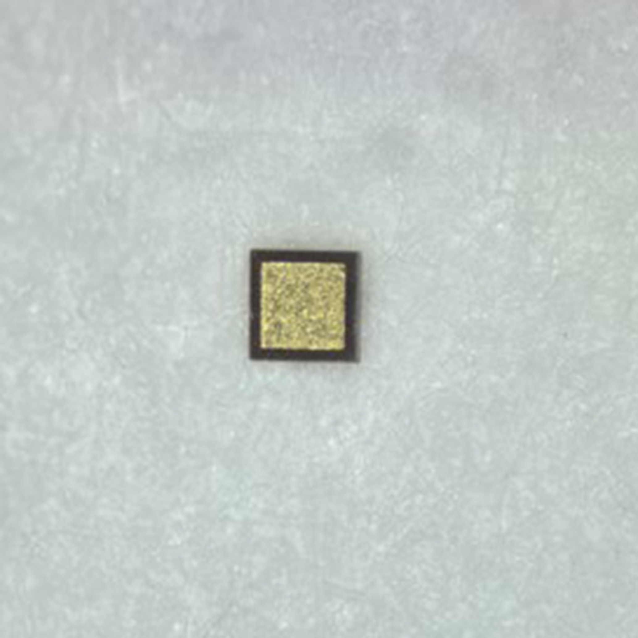 Campeones invisibles en el mundo del microondas